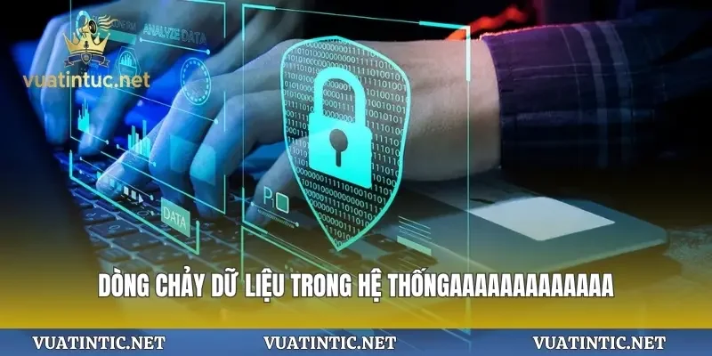 Dòng chảy dữ liệu trong hệ thống