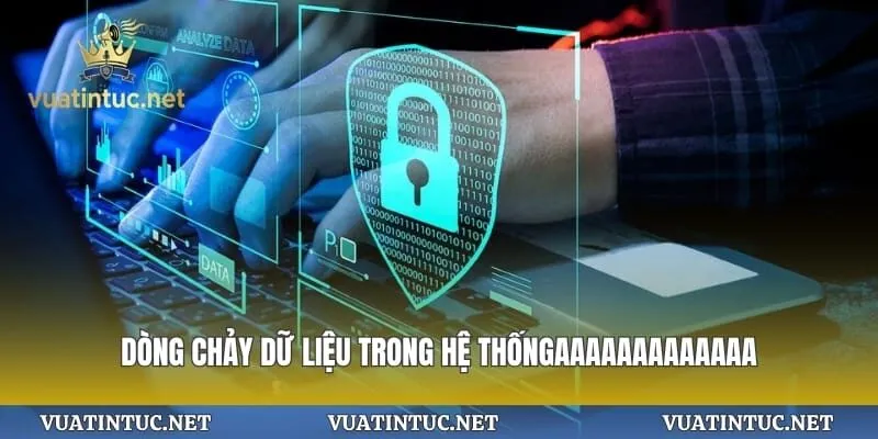 Dòng chảy dữ liệu trong hệ thống